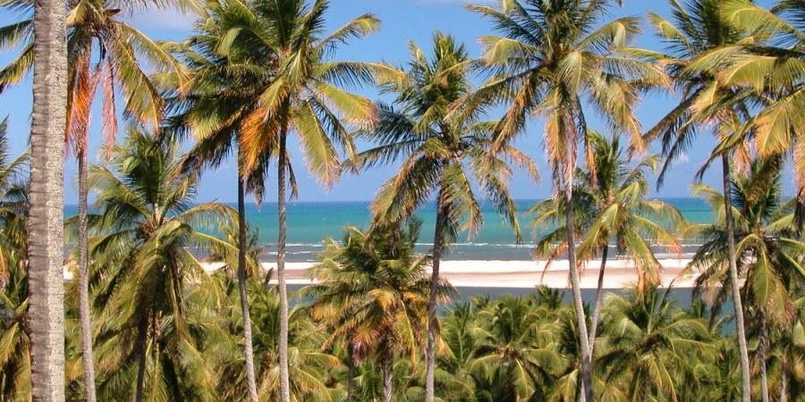 Barravilha Chales Barra do Cunhau Exterior photo